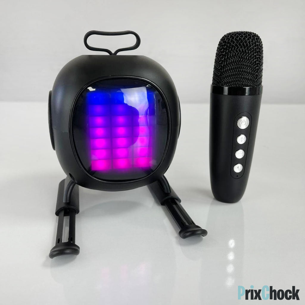 Mini-haut-parleur Portable Karaoké Avec Microphone Haut Qualité