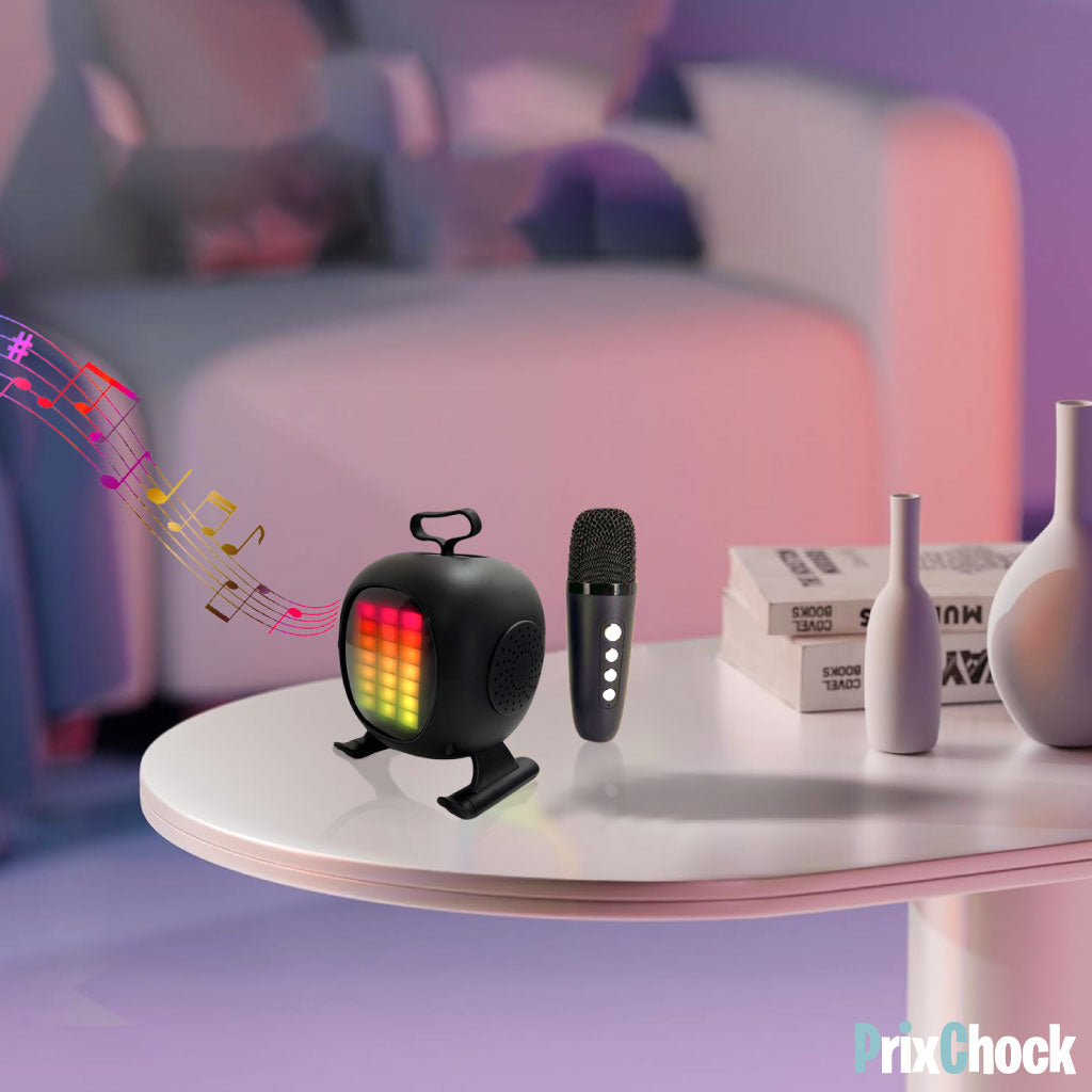 Mini-haut-parleur Portable Karaoké Avec Microphone Haut Qualité