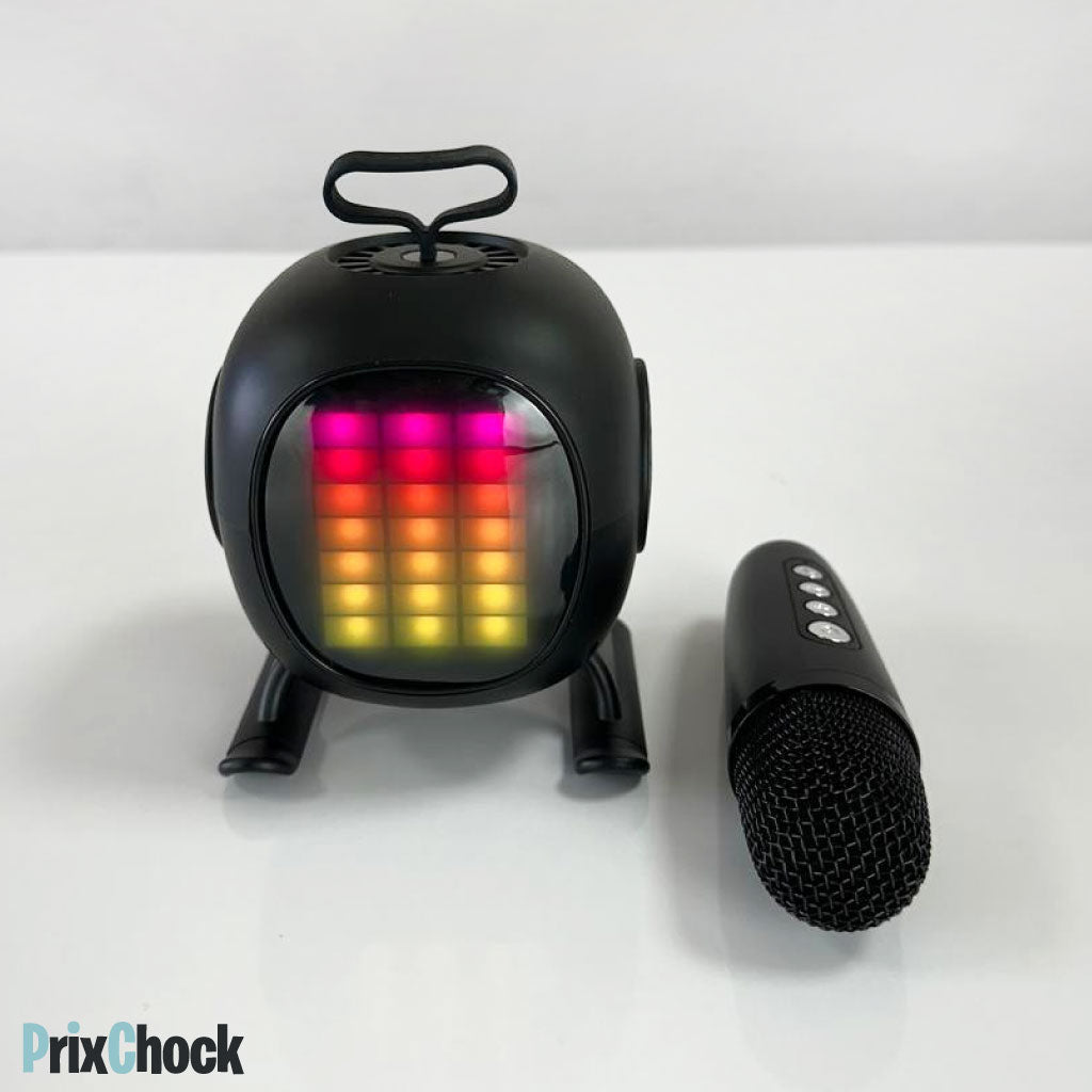 Mini-haut-parleur Portable Karaoké Avec Microphone Haut Qualité