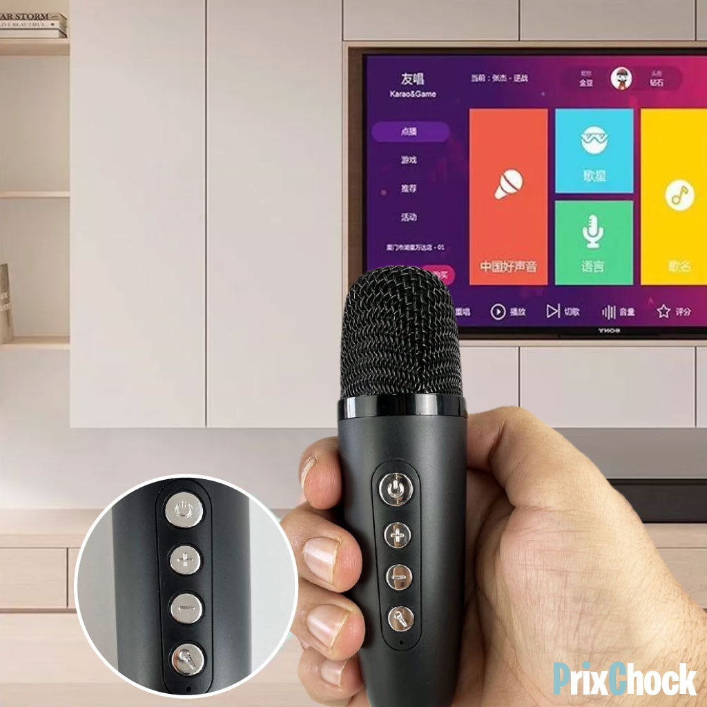 Mini-haut-parleur Portable Karaoké Avec Microphone Haut Qualité