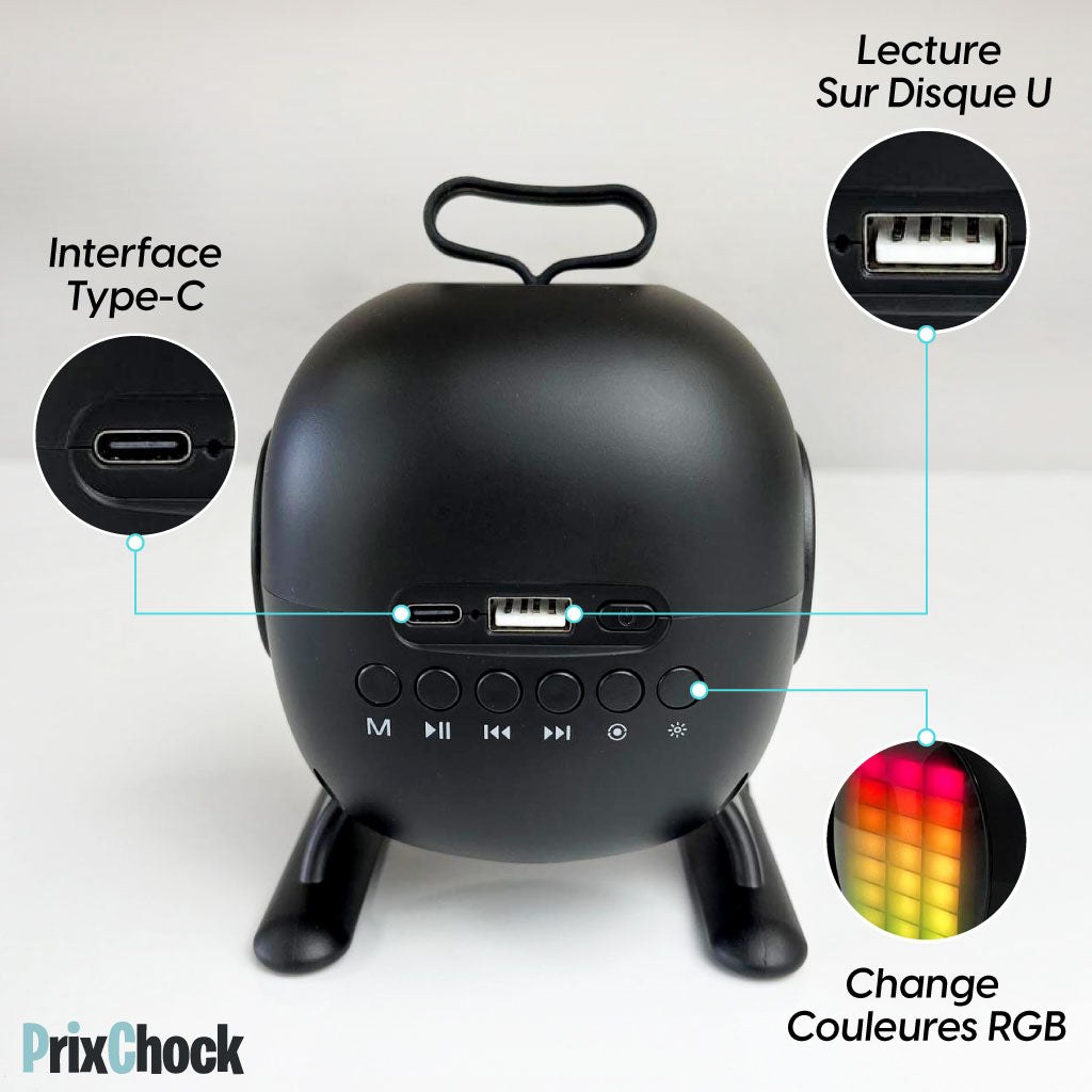 Mini-haut-parleur Portable Karaoké Avec Microphone Haut Qualité