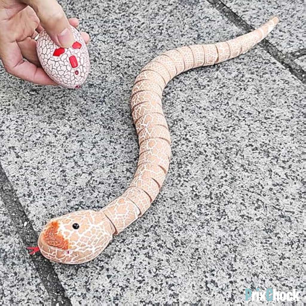 Serpent Amusant