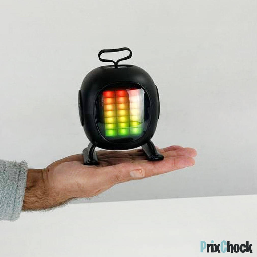 Mini-haut-parleur Portable Karaoké Avec Microphone Haut Qualité