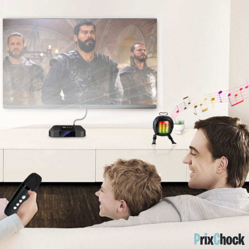 Mini-haut-parleur Portable Karaoké Avec Microphone Haut Qualité