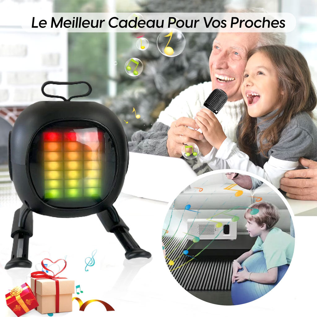 Mini-haut-parleur Portable Karaoké Avec Microphone Haut Qualité