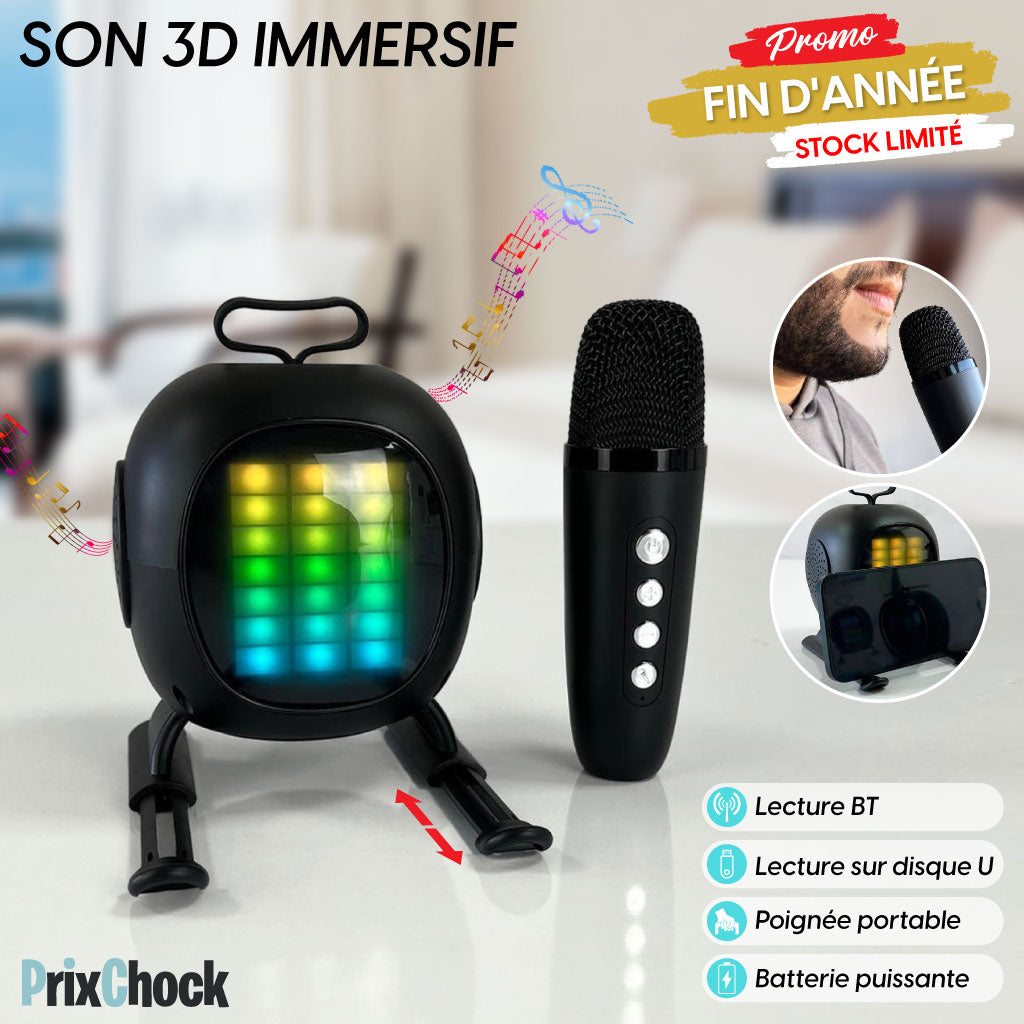 Mini-haut-parleur Portable Karaoké Avec Microphone Haut Qualité