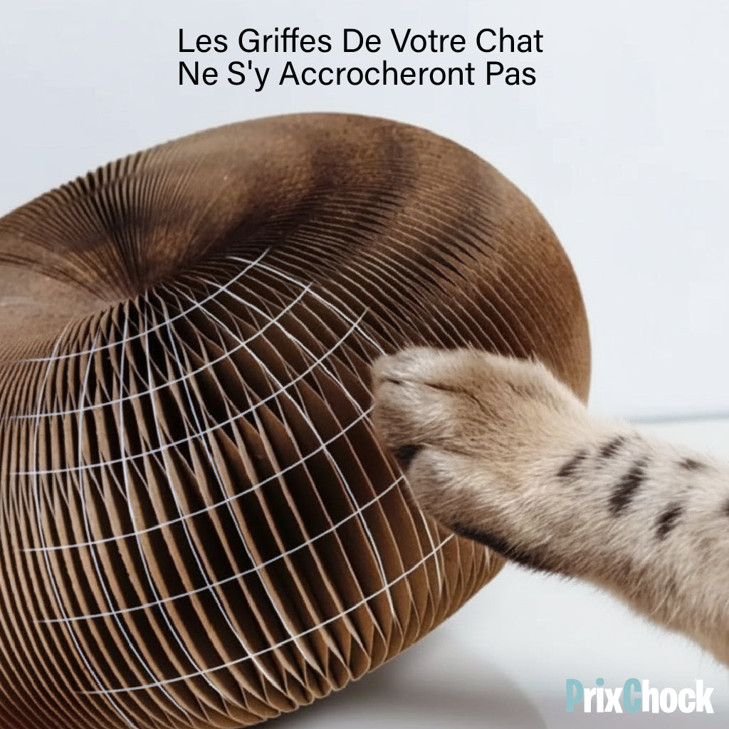 Griffoir Rond pour Animaux