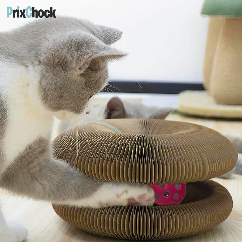 Griffoir Rond pour Animaux