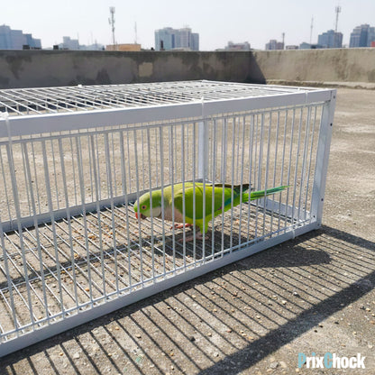 Cage de Piégeage pour Pigeons & Petits Volatiles – Capture Rapide et Efficace