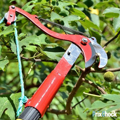 Sécateur Coupe-Branches à Corde pour Arbres en Hauteur