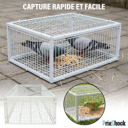 Cage de Piégeage pour Pigeons & Petits Volatiles – Capture Rapide et Efficace