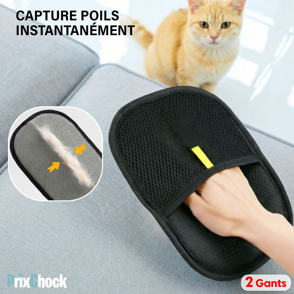 Gant – Attrape-Poils Réutilisable