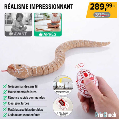 Serpent Amusant