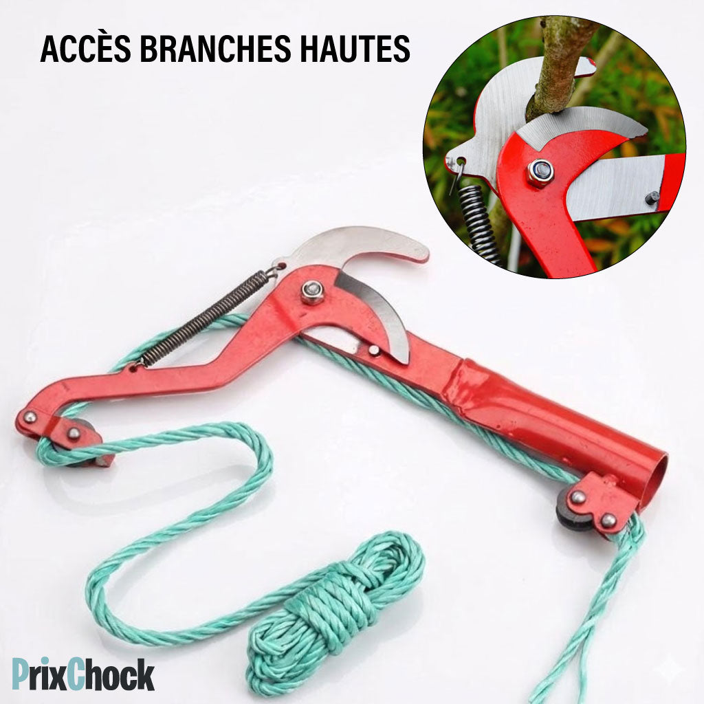 Sécateur Coupe-Branches à Corde pour Arbres en Hauteur