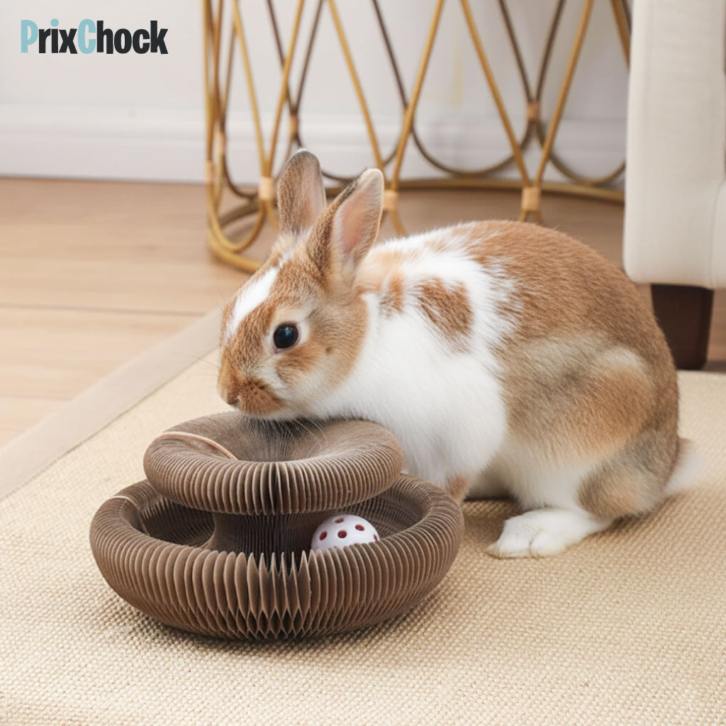 Griffoir Rond pour Animaux