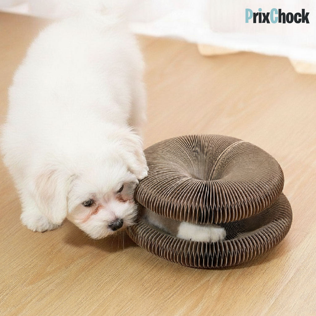 Griffoir Rond pour Animaux