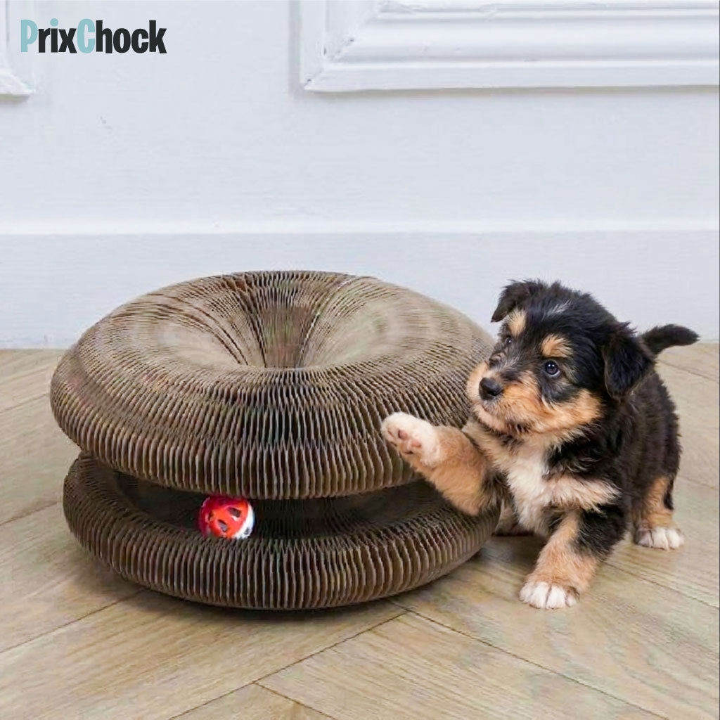 Griffoir Rond pour Animaux