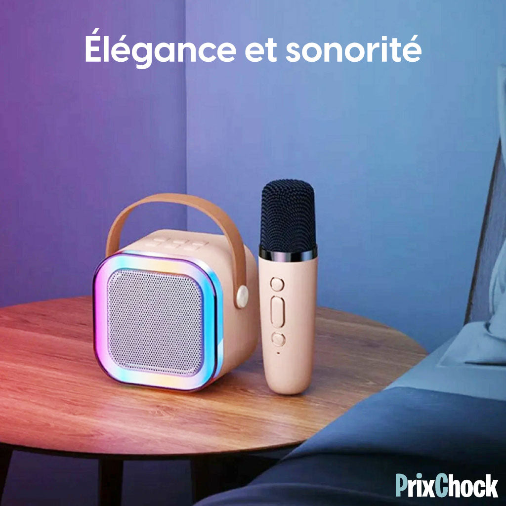 Karaoké Portable Sans Fil avec 2 Micros – L’Ambiance à Emporter Partout !