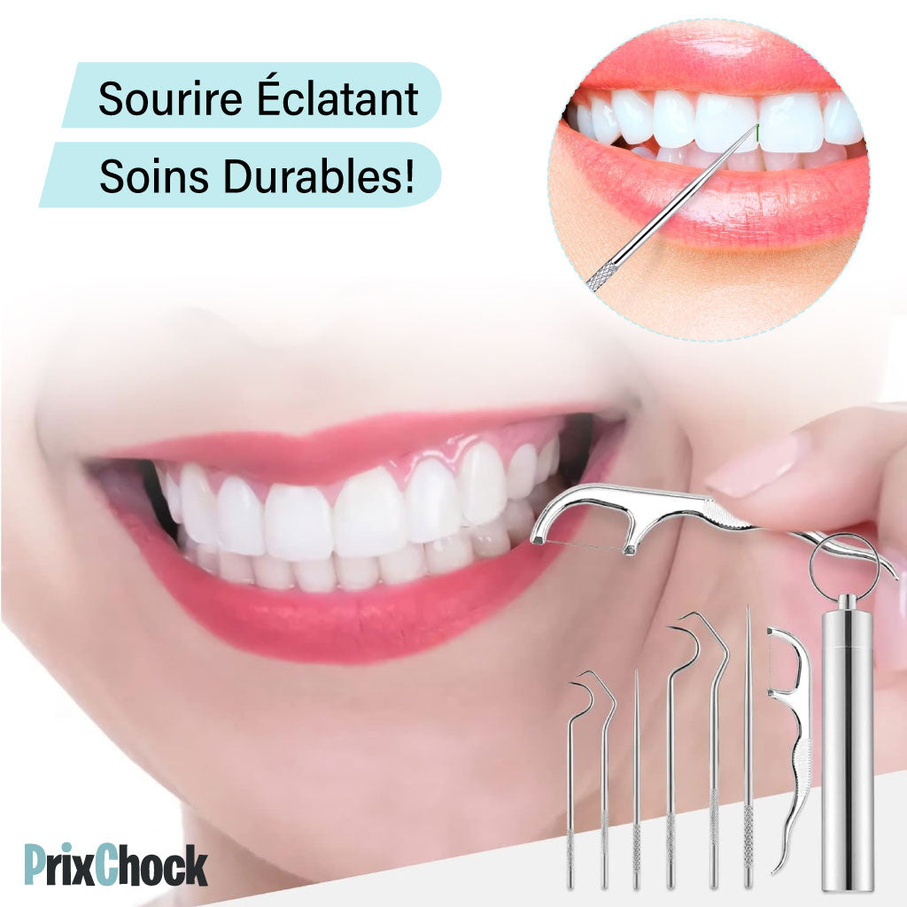 Kit De Soins Dentaires En Métal, Ensemble De Nettoyage De Tartre Et Cure-dents Réutilisables En Acier Inoxydable.