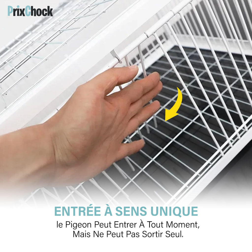 Cage de Piégeage pour Pigeons & Petits Volatiles – Capture Rapide et Efficace