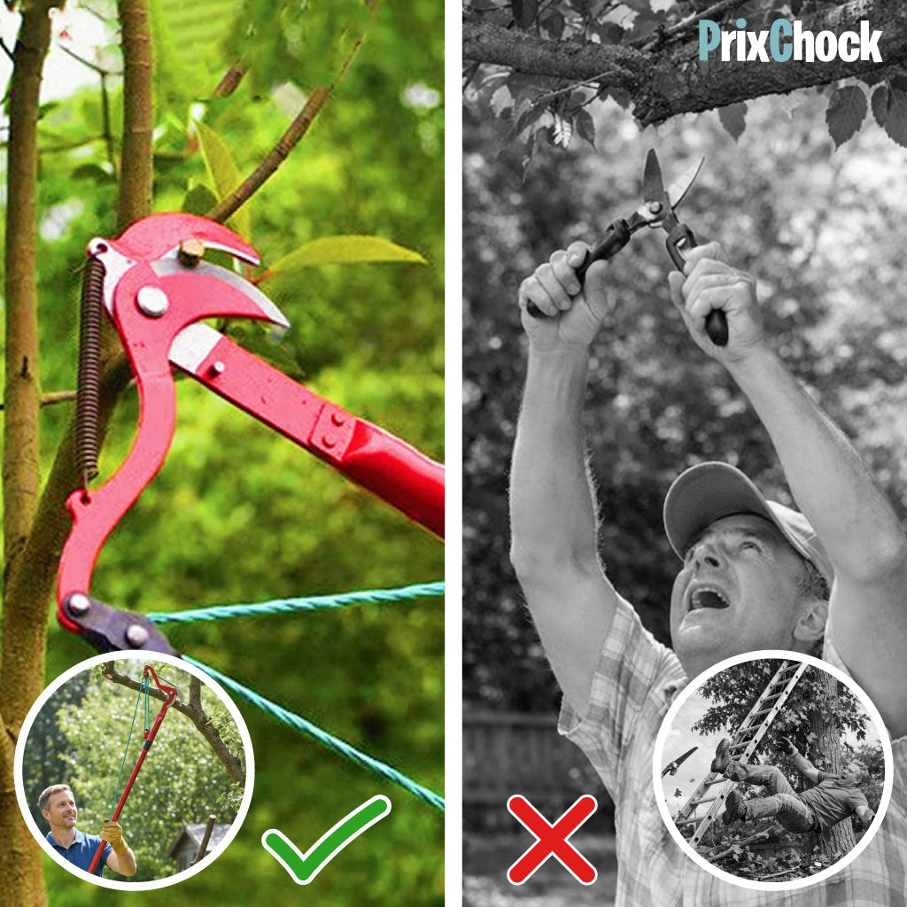 Sécateur Coupe-Branches à Corde pour Arbres en Hauteur