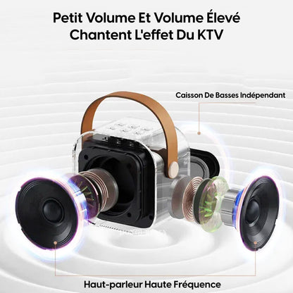 Karaoké Portable Sans Fil avec 2 Micros – L’Ambiance à Emporter Partout !