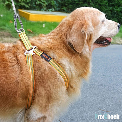 Câble Flexible Sécurisé