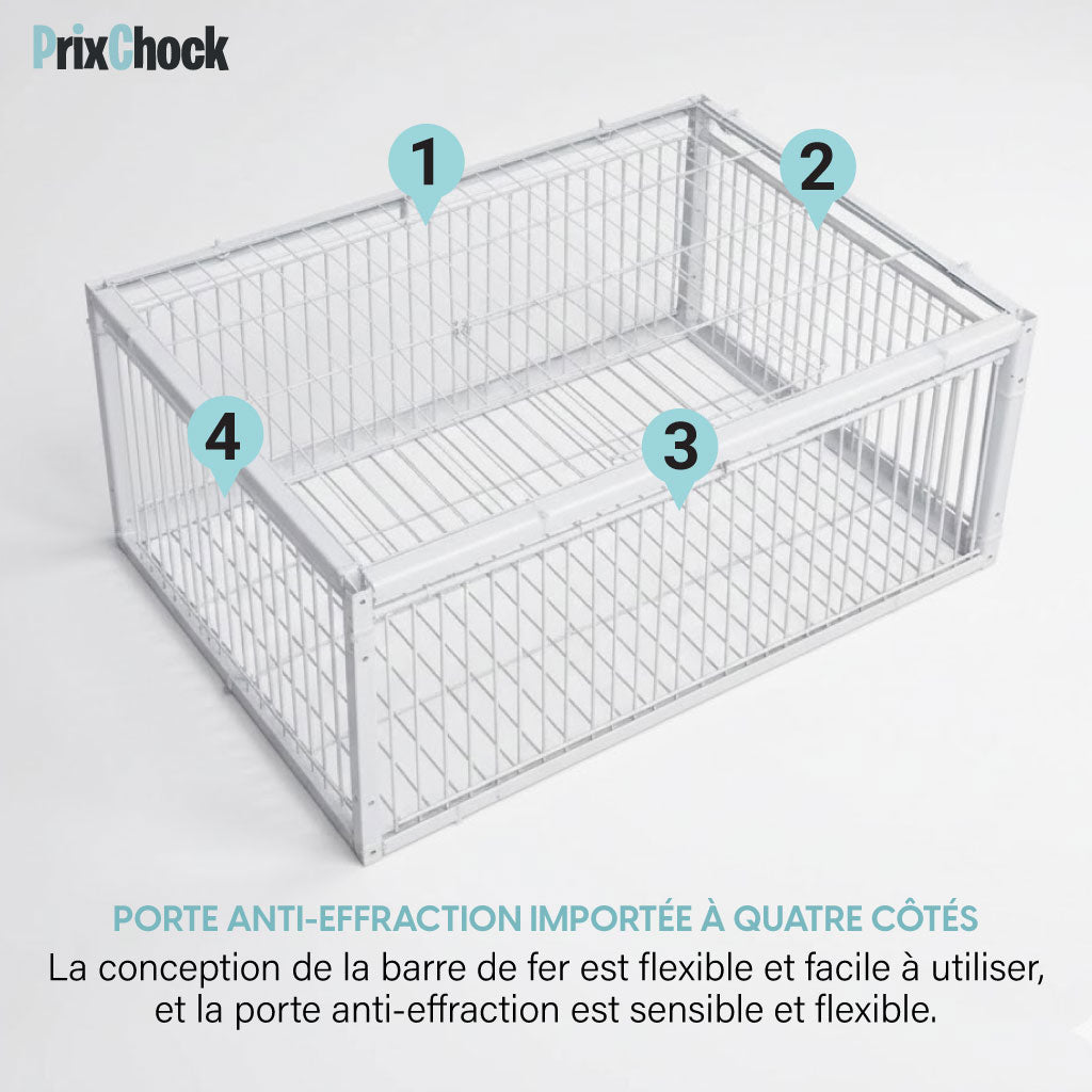 Cage de Piégeage pour Pigeons & Petits Volatiles – Capture Rapide et Efficace