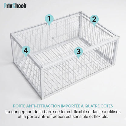 Cage de Piégeage pour Pigeons & Petits Volatiles – Capture Rapide et Efficace