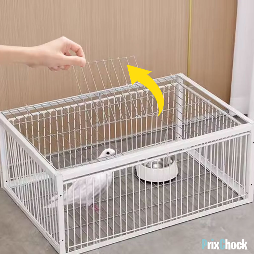 Cage de Piégeage pour Pigeons & Petits Volatiles – Capture Rapide et Efficace