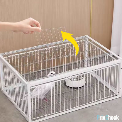 Cage de Piégeage pour Pigeons & Petits Volatiles – Capture Rapide et Efficace