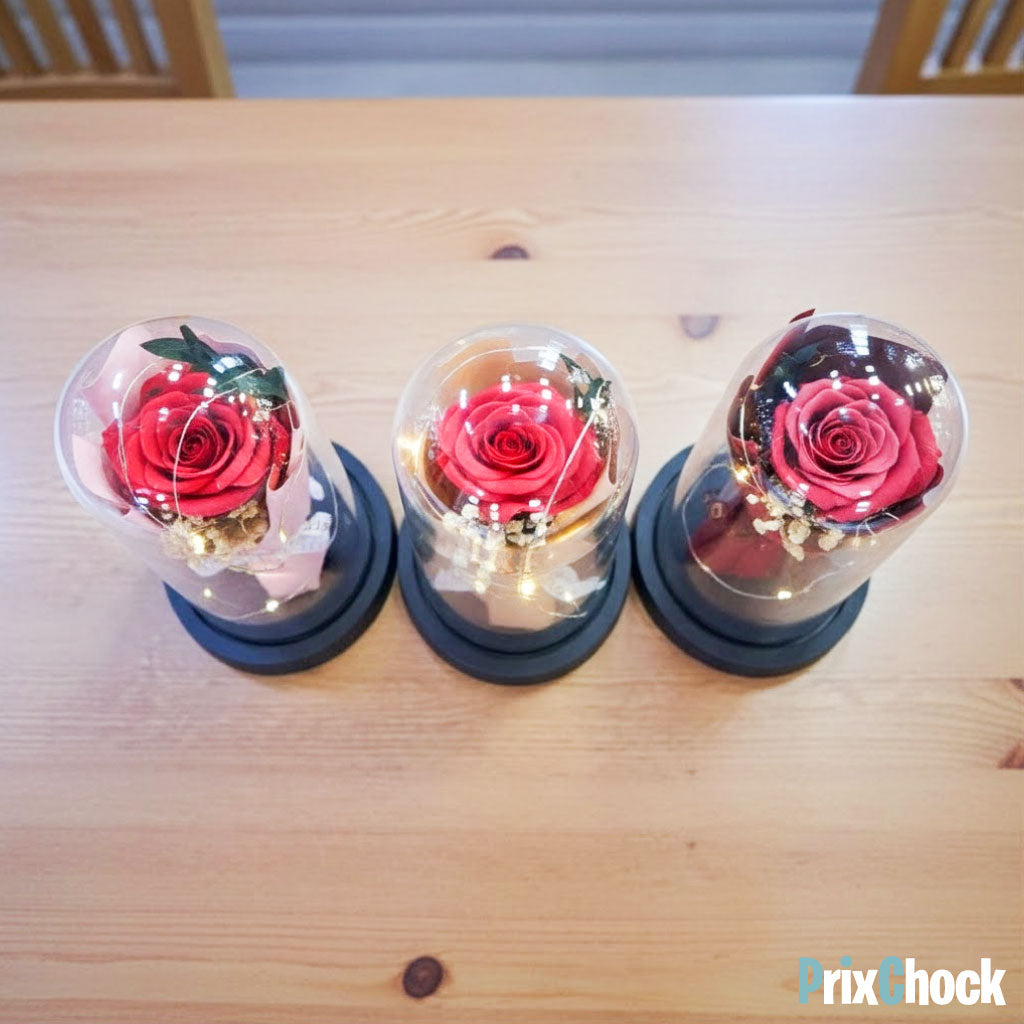 Rose Éternelle sous Cloche LED – Un Cadeau Magique & Intemporel