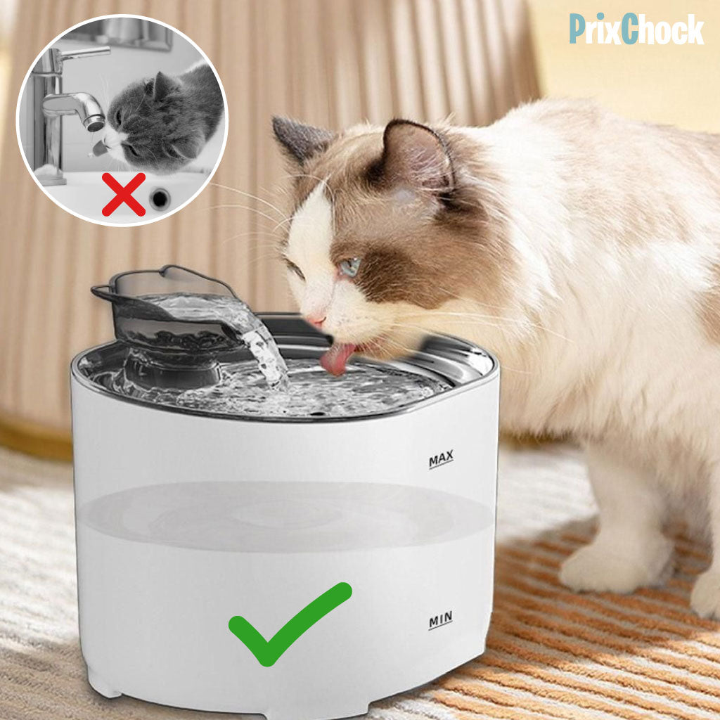 Fontaine à Eau pour Chat avec Détecteur de Mouvement – Hydratation Facile et Sûre