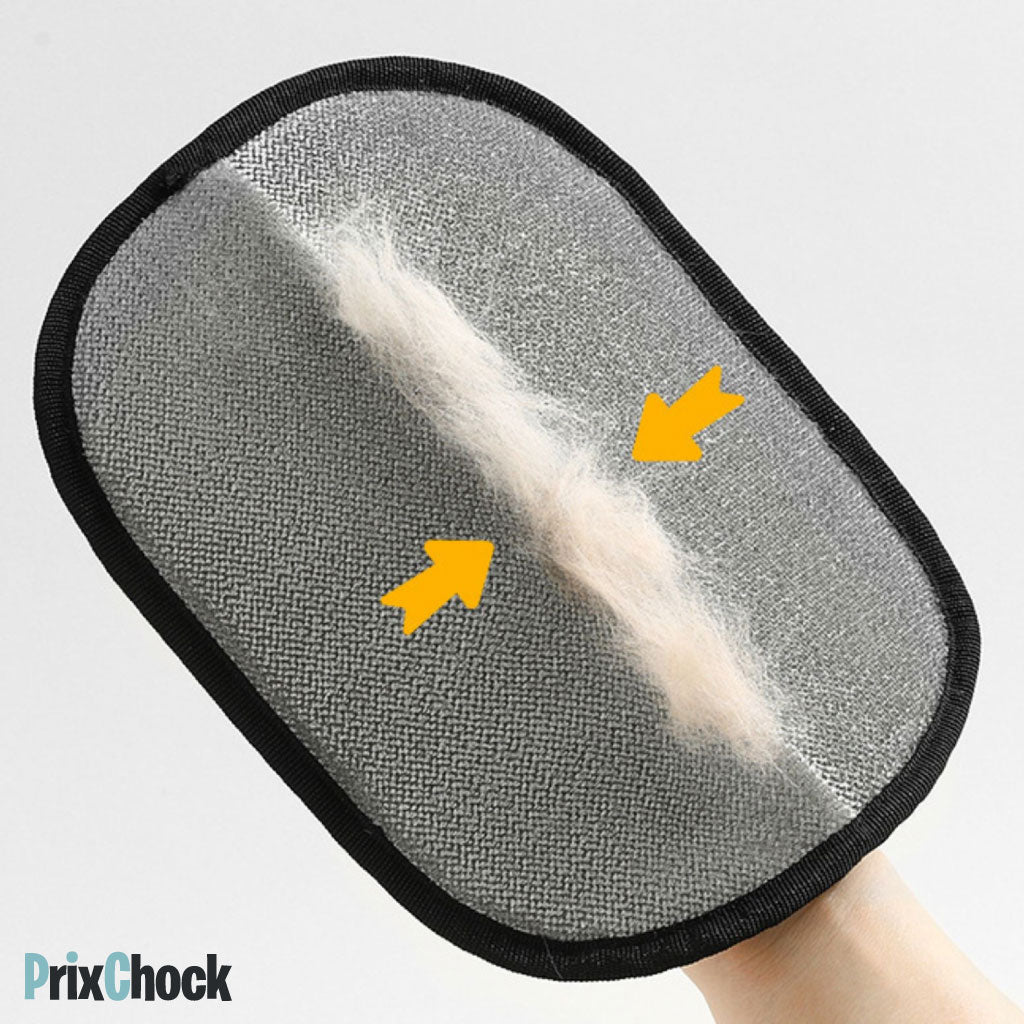 Gant – Attrape-Poils Réutilisable