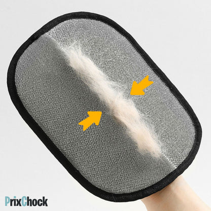 Gant – Attrape-Poils Réutilisable