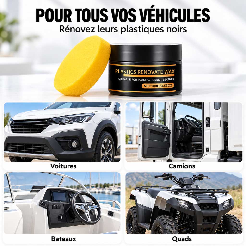 Cire Rénovatrice pour Plastiques Auto – RayHong 100 g