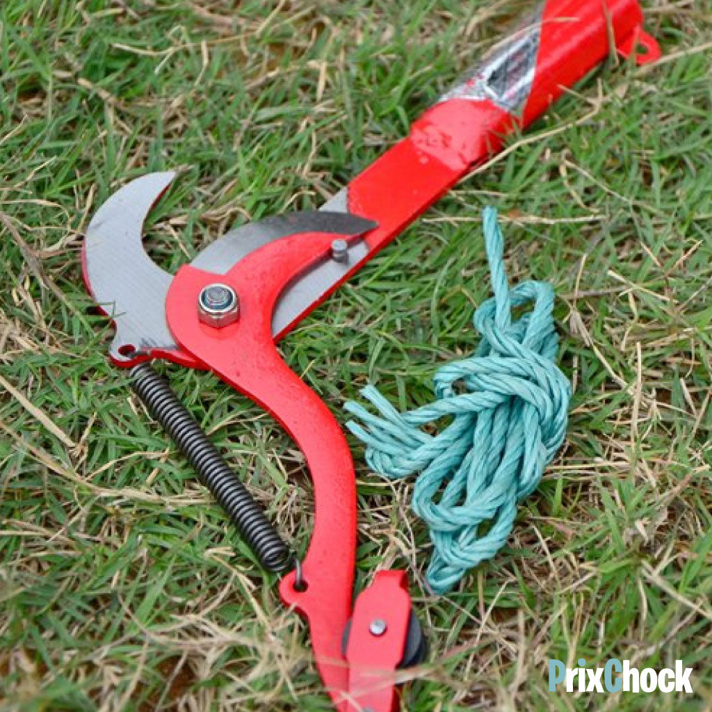 Sécateur Coupe-Branches à Corde pour Arbres en Hauteur