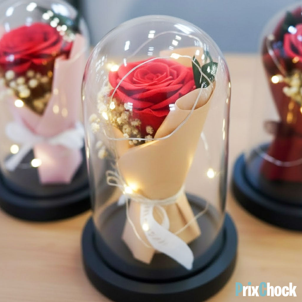 Rose Éternelle sous Cloche LED – Un Cadeau Magique & Intemporel
