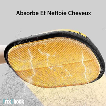 Gant – Attrape-Poils Réutilisable