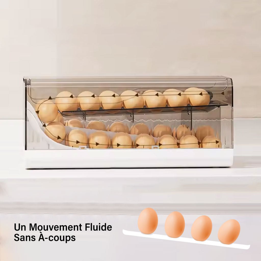 Boîte de Rangement pour Œufs