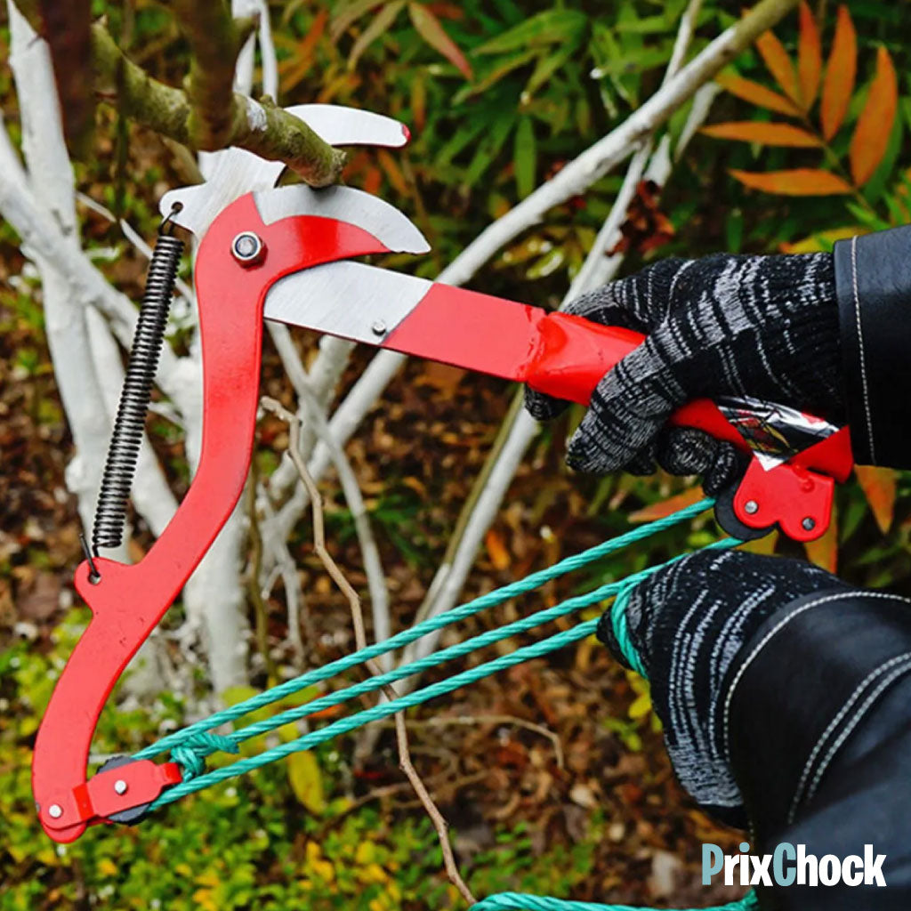 Sécateur Coupe-Branches à Corde pour Arbres en Hauteur