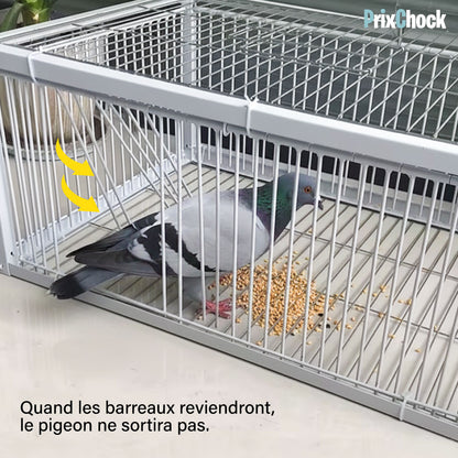 Cage de Piégeage pour Pigeons & Petits Volatiles – Capture Rapide et Efficace