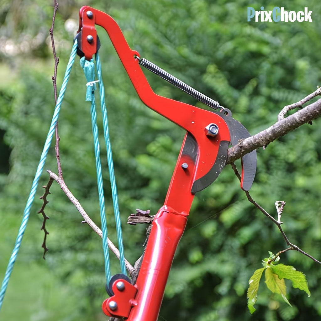 Sécateur Coupe-Branches à Corde pour Arbres en Hauteur