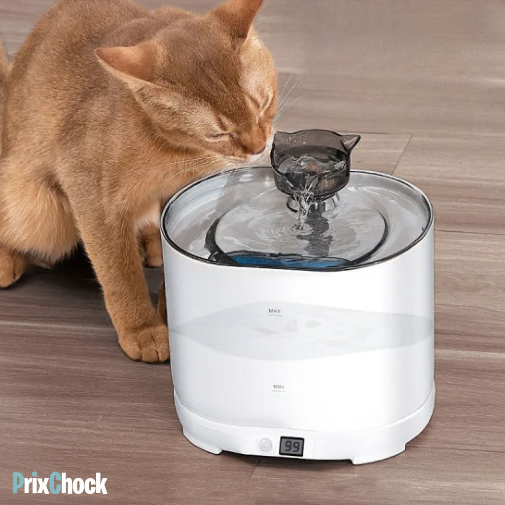 Fontaine à Eau pour Chat avec Détecteur de Mouvement – Hydratation Facile et Sûre