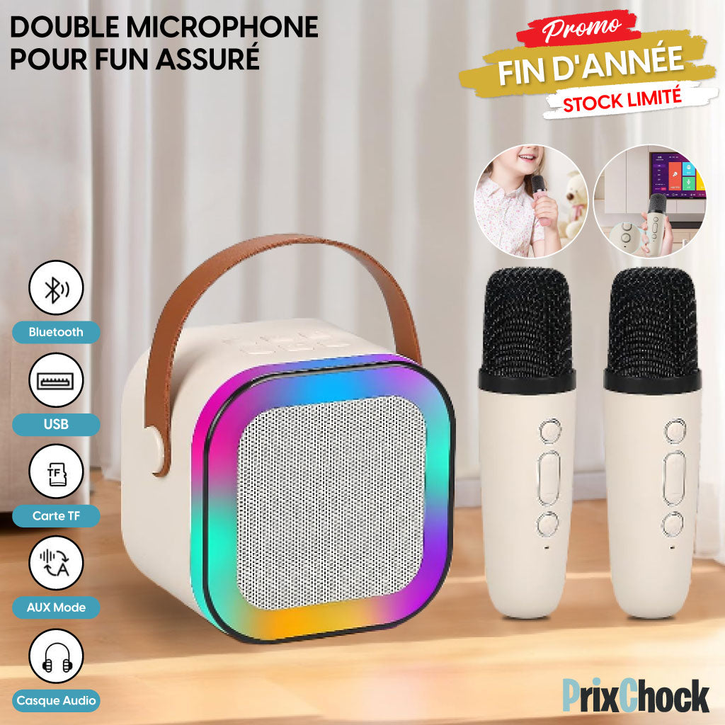 Mini-haut-parleur Portable Karaoké : Musique Et Amusement À Emporter Avec Deux Microphones